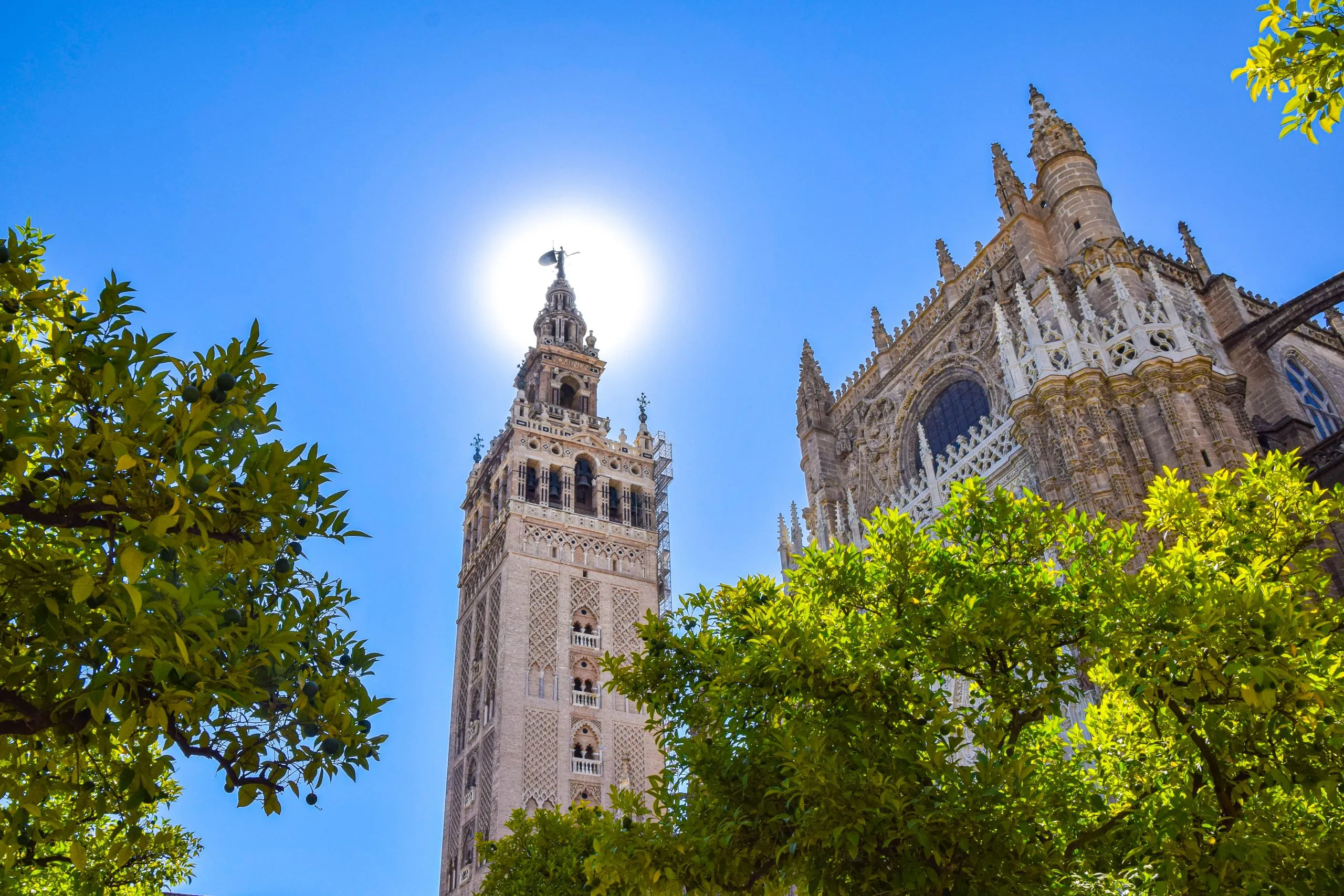 Sunlit tower rising above lush Alcázar garden vegetation